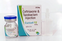 pcd pharma company in gujarat